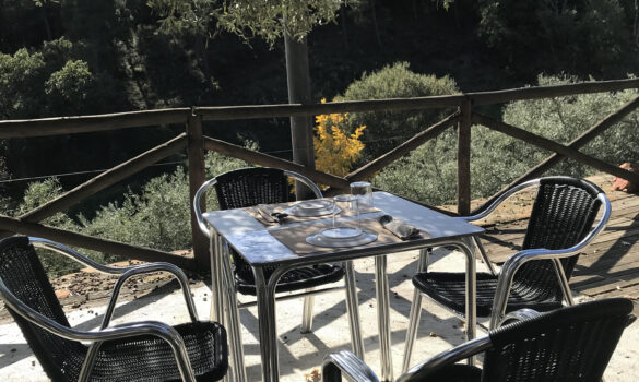 chiringuito-los-molinos-1