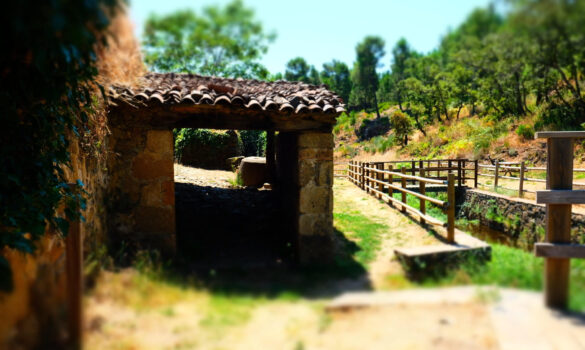 chiringuito-los-molinos-3
