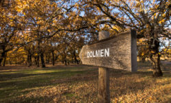 Dolmen1on