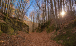 Los Abuelos-3