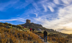 almenara-19