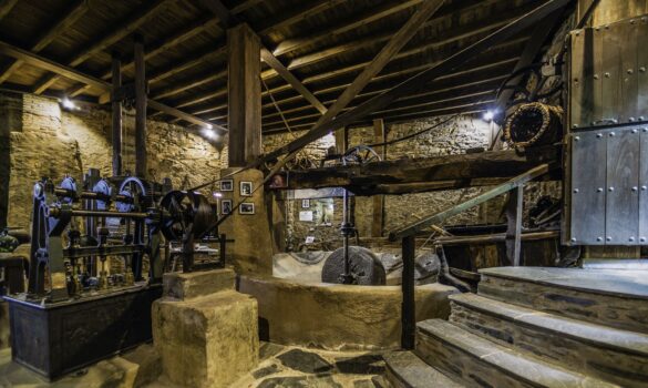 museo-aceite-gata